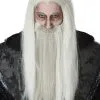 Dark Wizard Wig And Beard -Video Game Costumes Shop 70900 full 1