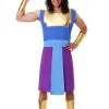 Disguise Limited Disney Emperor's New Groove Kronk Men's Costume