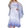 Disguise Deluxe Frozen Snow Queen Elsa Kids Costume -Video Game Costumes Shop frozen snow queen elsa deluxe costume for kids