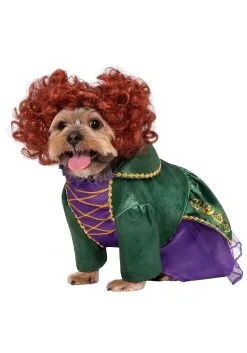 Rubies Costume Co. Inc Dog Costume Of Hocus Pocus Winifred Sanderson