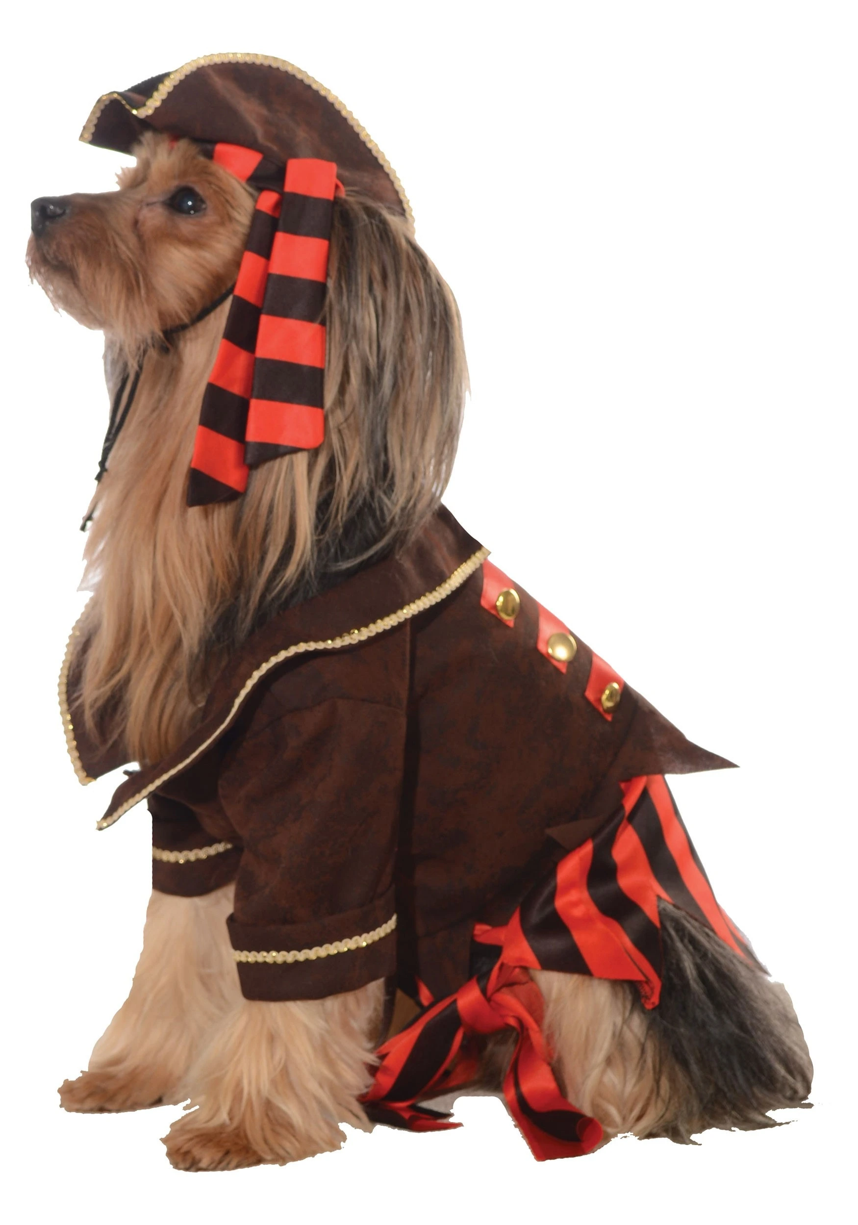 Rubies Costume Co. Inc Pirate Dog Costume 3 Rubies Costume Co. Inc Pirate Dog Costume