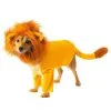 Rubies Costume Co. Inc Disney The Lion King Simba Dog Costume -Video Game Costumes Shop the lion king simba dog costume